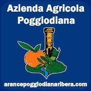 Arance Poggiodiana Ribera Arance di Ribera (Sicilia), orari di apertura