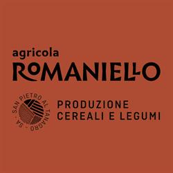 Agricola Romaniello, San Pietro al Tanagro orari di apertura