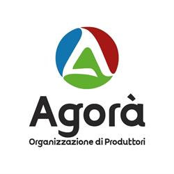 O.P. Agora' Soc. Coop. Agricola, Metaponto orari di apertura