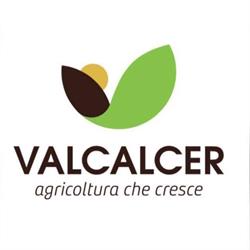 Valcalcer Srl, Battipaglia orari di apertura