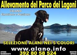 Alani del Parco dei Lagoni, Arona orari di apertura