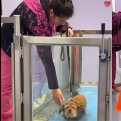 Fisio4vet Clinica Fisioterapica Sportiva Veterinaria, Bovisio-Masciago orari di apertura