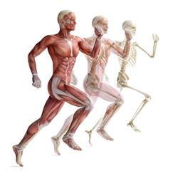 Fisioterapia e Osteopatia Andrea Dall’Osto, Creazzo orari di apertura