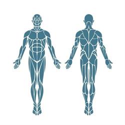 Cologna Fisioterapia, Cologna Veneta orari di apertura