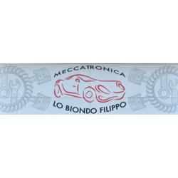 Officina Meccatronica Lo Biondo Filippo, Palermo orari di apertura