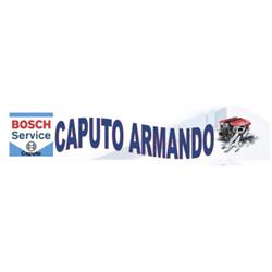 Caputo Armando Soccorso Stradale- Autofficina Meccatronica, Palomonte orari di apertura