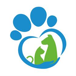 Ambulatorio Veterinario Maggiore, Castel Maggiore orari di apertura