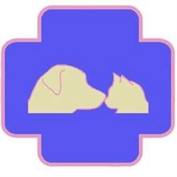 Ambulatorio Veterinario 4 Zampe, Catania orari di apertura