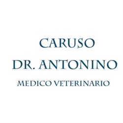 Caruso Dr. Antonino - Medico Veterinario, Misterbianco orari di apertura