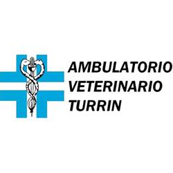 Ambulatorio Veterinario Dr. Riccardo Turrin, Mira orari di apertura