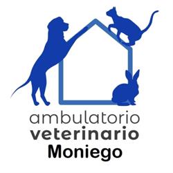 Ambulatorio Veterinario Moniego, orari di apertura