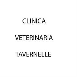 Clinica Veterinaria Tavernelle, orari di apertura