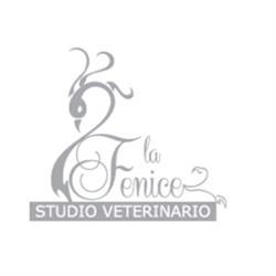Studio Veterinario La Fenice, Ravenna orari di apertura