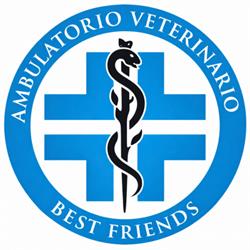 Ambulatorio Veterinario Best Friends, Fiumicino orari di apertura