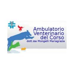 Ambulatorio Veterinario del Corso, Bitetto orari di apertura