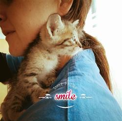Studio Veterinario Alessia Oggiano, La Spezia orari di apertura