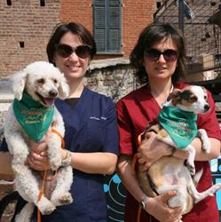 Ambulatorio Veterinario Associato Dott.ssa Berra e Dott.ssa Gironi, Galliate orari di apertura