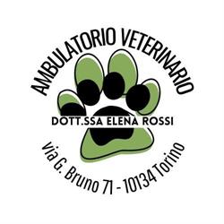 Rossi Dr. Elena, Torino orari di apertura