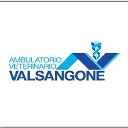 Ambulatorio Veterinario Associato Val Sangone, Orbassano orari di apertura