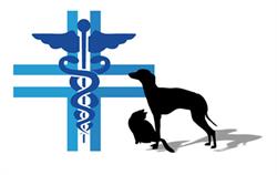 Ambulatorio Veterinario dott.ssa Roberta Vigliocco, Poirino orari di apertura