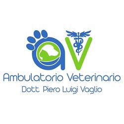 Ambulatorio Veterinario Vaglio (Dott. Piero Luigi), Nardò orari di apertura