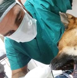 Ambulatorio Veterinario "CITTA' DI MELENDUGNO" dr Stella, Melendugno orari di apertura