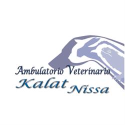 Veterinario Dr. Stefania Turco Ambulatorio Kalat Nissa, Caltanissetta orari di apertura