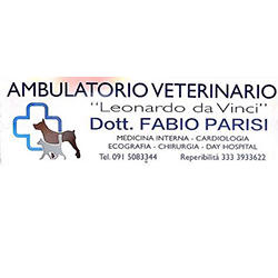 Ambulatorio Veterinario Leonardo da Vinci, Palermo orari di apertura