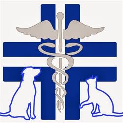 Ambulatorio Veterinario Lattero, Vitulazio orari di apertura