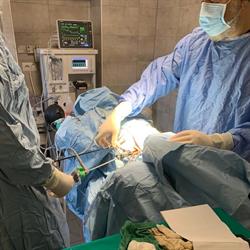 Clinica Veterinaria dei Giovi Dr.Pizzagalli Dr.Sala, Fino Mornasco orari di apertura