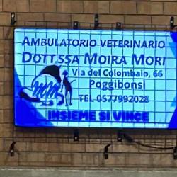 Ambulatorio Veterinario Dr.ssa Mori Moira, Poggibonsi orari di apertura