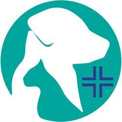 Ambulatorio Veterinario Associato Sanchi Fabrizia & Bravin Michele, Morciano di Romagna orari di apertura