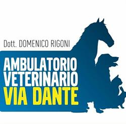 Ambulatorio Veterinario Via Dante, Asiago orari di apertura
