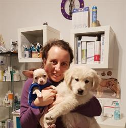 Ambulatorio Veterinario Dott.ssa Cerini Rita, Monte Romano orari di apertura