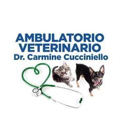 Ambulatorio Veterinario Dr. Carmine Cucciniello della dr.ssa Fausta Cucciniello, Avellino orari di apertura