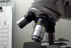 Laboratorio Analisi Pontevecchio, Bologna orari di apertura