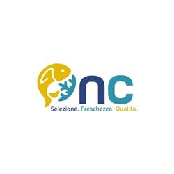NC Logistica srl - Surgelato NC, Acireale orari di apertura