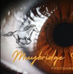 Muybridge Studio Labs, Foggia orari di apertura