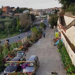 Vivaio Agricola Fa.Mi.Or, Roma orari di apertura