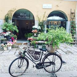 Clori Home and Flowers, Milano orari di apertura