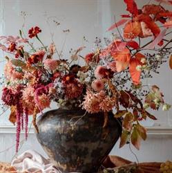 Kado creazioni floreali Di Susanna Vincis, Roma orari di apertura