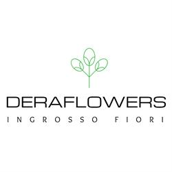 Deraflowers di Deramo Nicola, Settimo Torinese orari di apertura