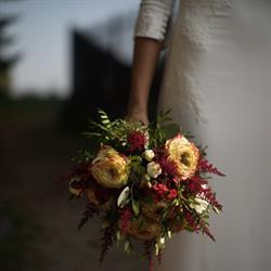 Arianna Pilone Floral Designer, San Mauro Torinese orari di apertura