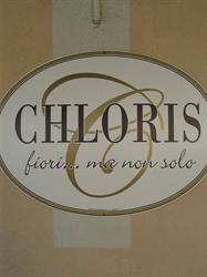 Chloris Di Torretta Paola, Cambiano orari di apertura