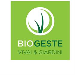 Biogeste SRL, Trieste orari di apertura