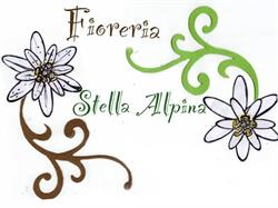 Stella Alpina Di Bassan Giada, Villaverla orari di apertura