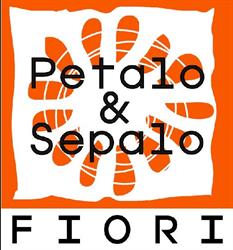 Fiorista Petalo & Sepalo di Elisabetta Lenti, Arona orari di apertura