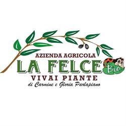 La Felce Vivaio, Az. Agr. BIO, Latina orari di apertura