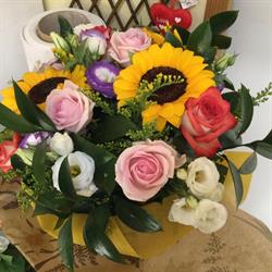 Fiori e piante di Luisella Concas, Arbus orari di apertura