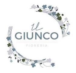 Fioreria Il Giunco Di Nicoletti Elena, Trissino orari di apertura